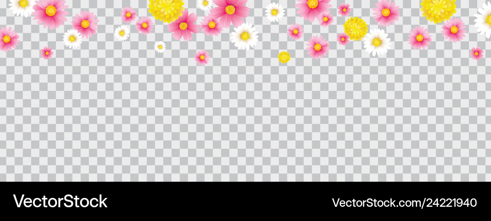 Hello spring flower frame with transparent Vector Image