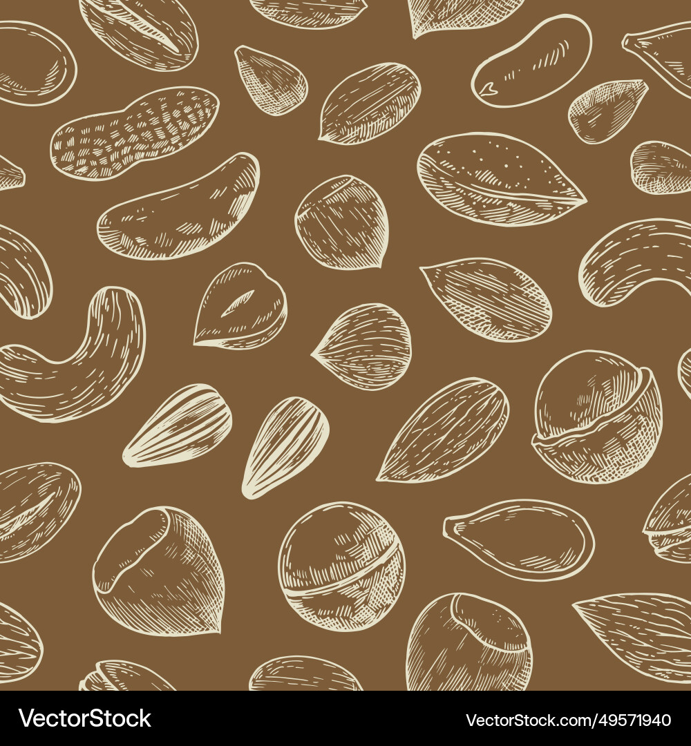 Seamless pattern with nuts and seeds sketch Seamless pattern with nuts and seeds sketch Vector Image