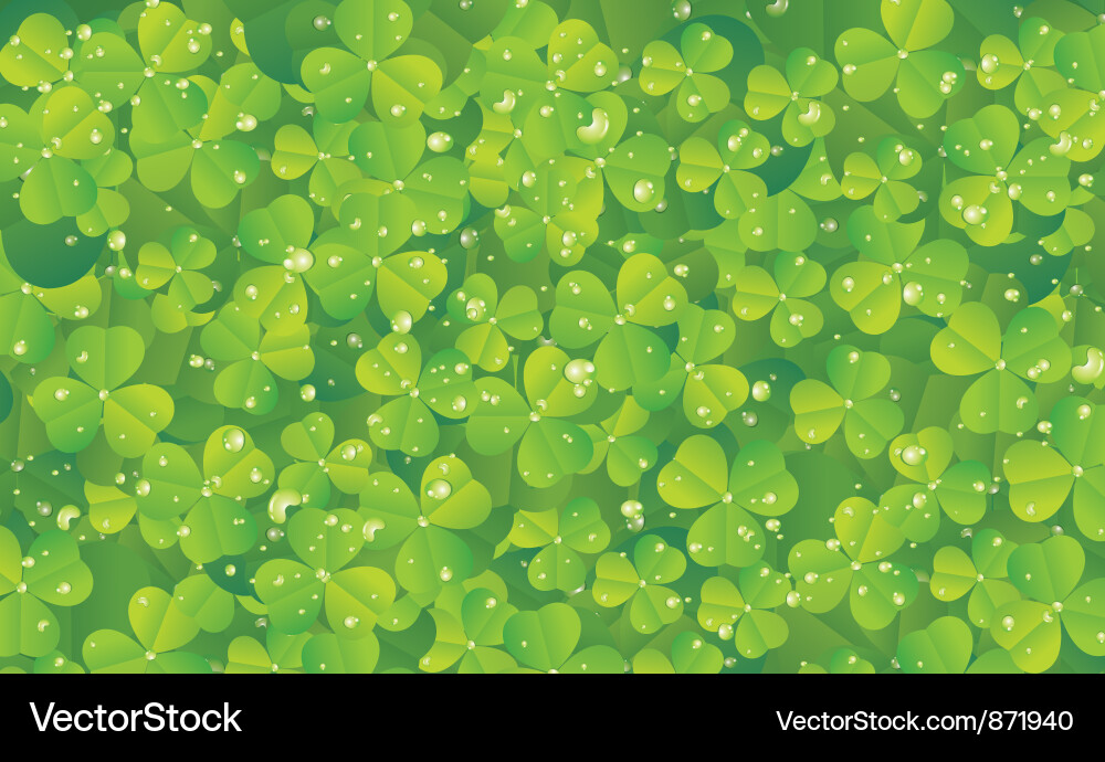 Spring clover Vector Image