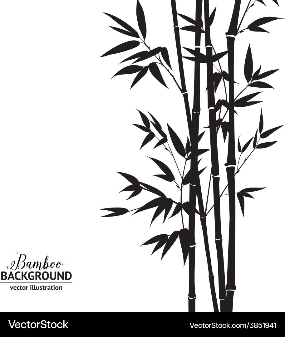 Bamboo bush Vector Images \u0026 Graphics for Commercial Use | VectorStock, image size:913x1080