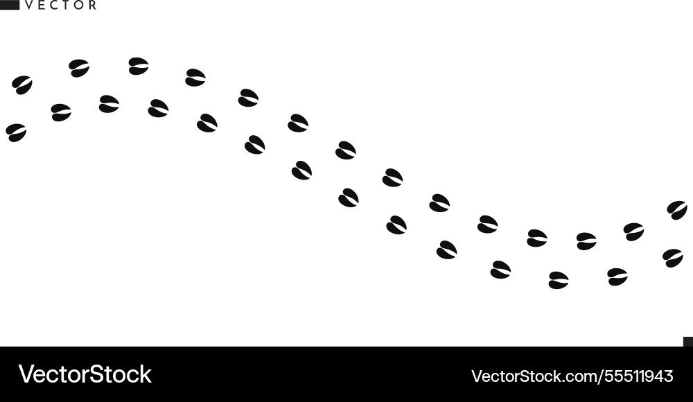Cow footprints Vector Image