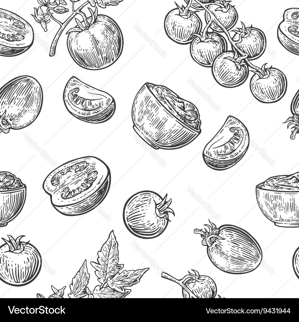 Seamless pattern with tomato half and slice Vector Image