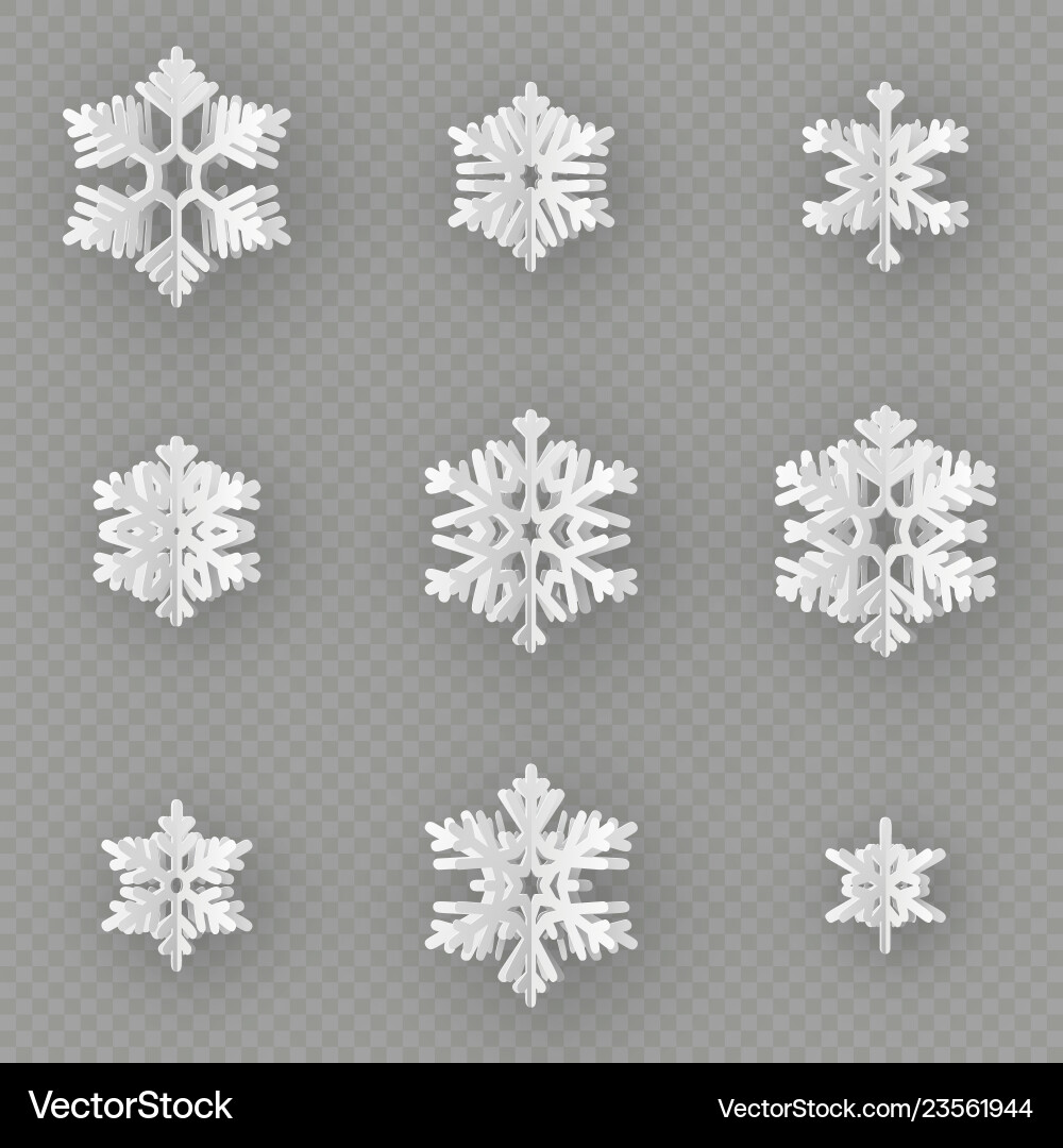 Set of nine different paper snowflake cut from Vector Image