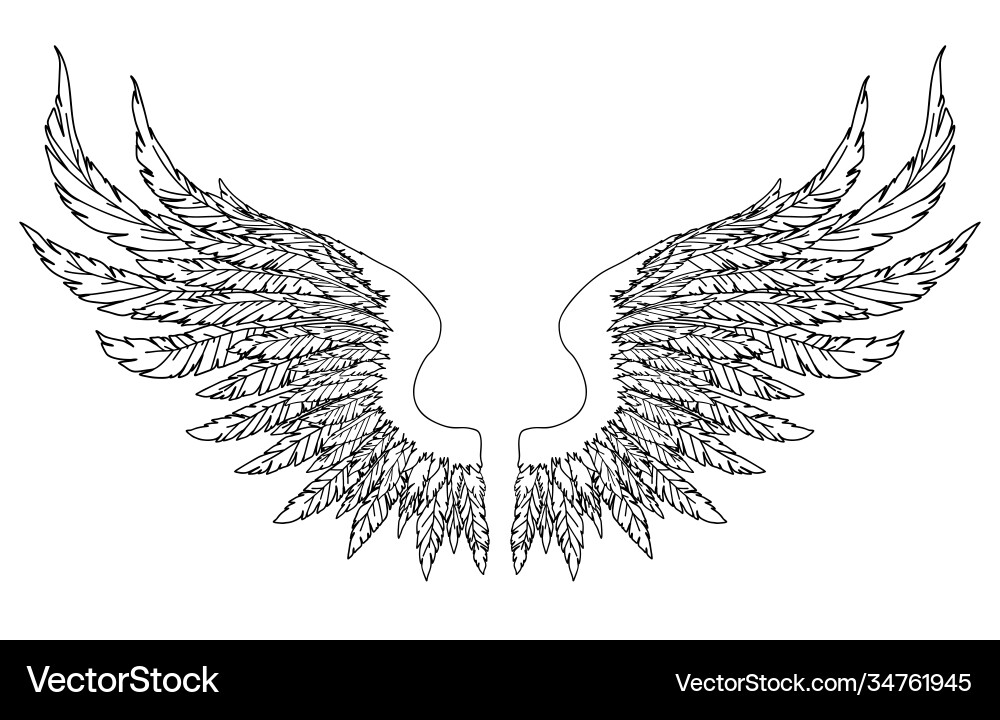 Black and white hand-drawn wings Black and white hand-drawn wings vector image