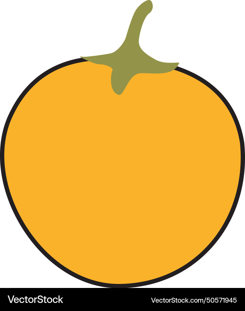 Colored fruit icon Royalty Free Vector Image - VectorStock