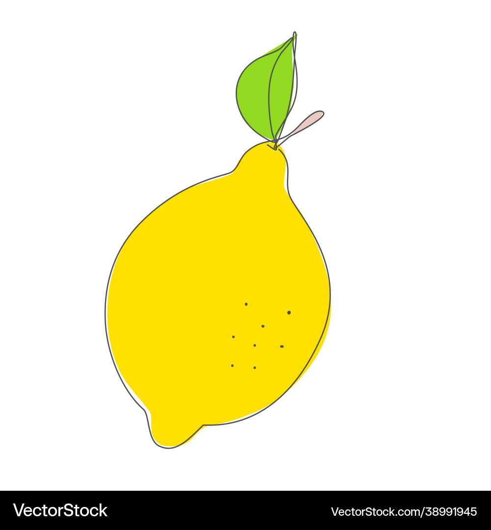 Lemon with leaf in continuous line drawing Lemon with leaf in continuous line drawing vector image