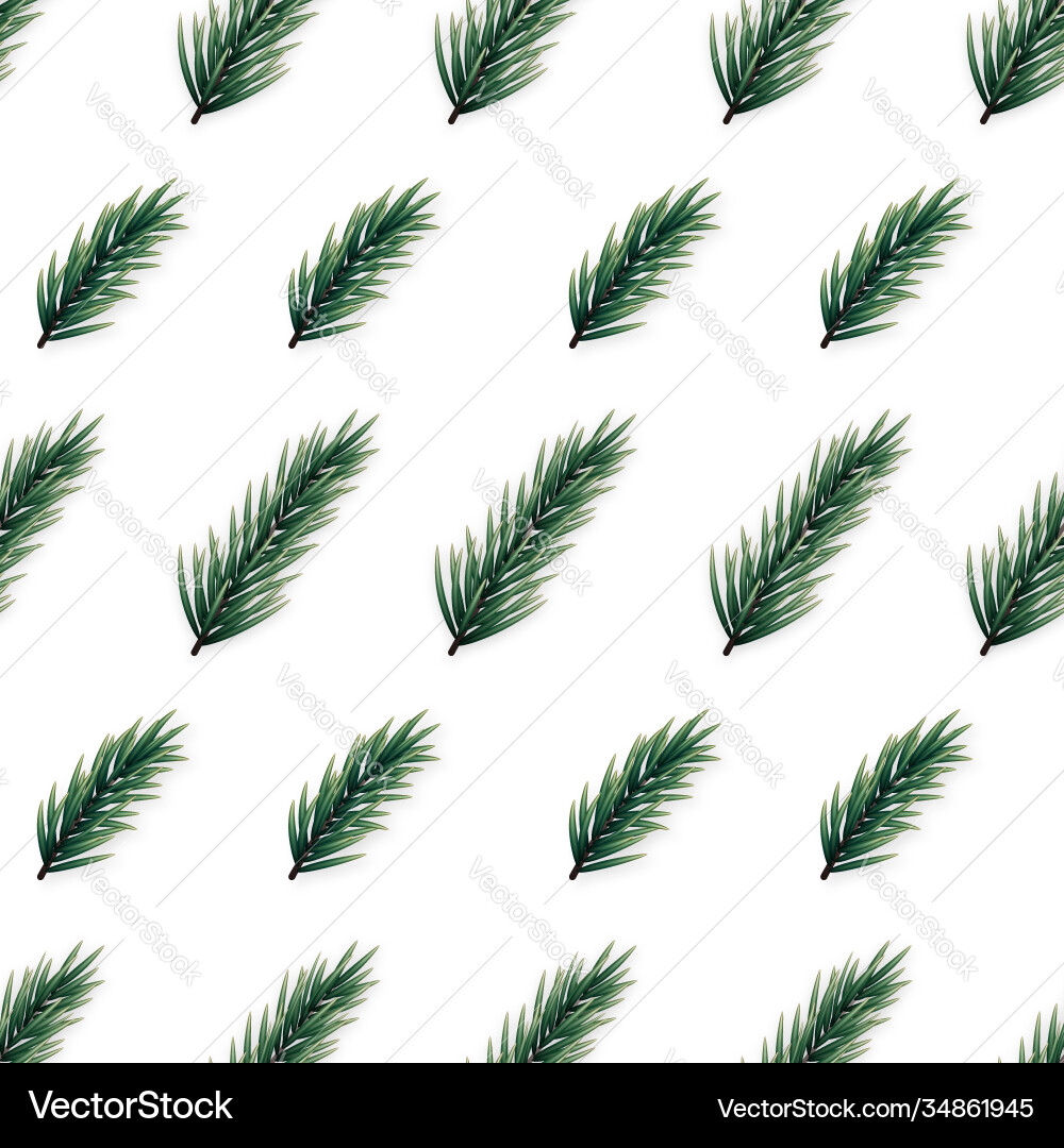 Minimalist seamless pattern with realistic fir Minimalist seamless pattern with realistic fir vector image