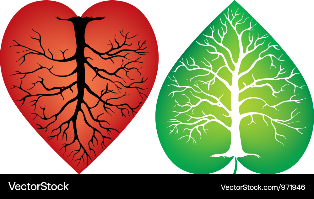 Abstract tree trunk with the symbol of heart vector image