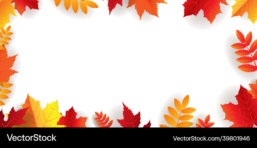 Autumn border with bright leaves Royalty Free Vector Image