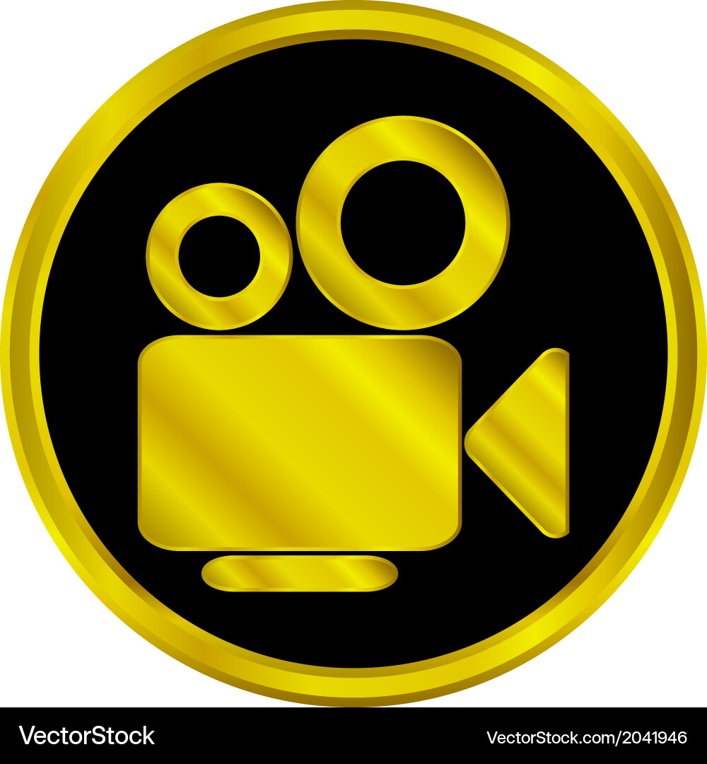 Camera button vector image