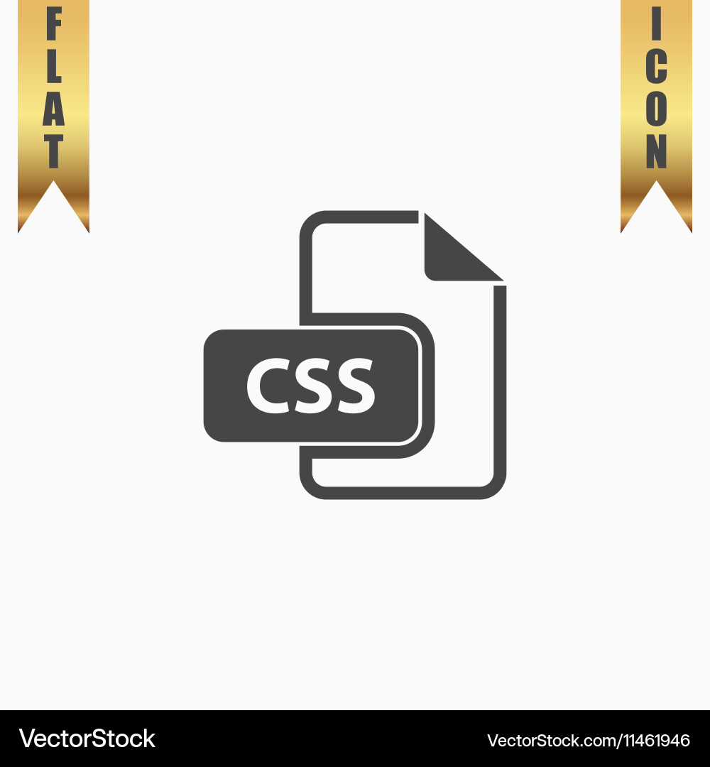 Css file icon vector image