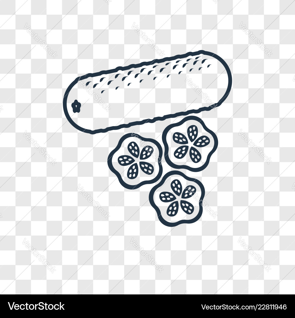 Cucumber concept linear icon isolated Cucumber concept linear icon isolated vector image