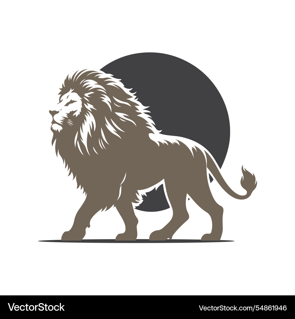 Design elements Vector Image