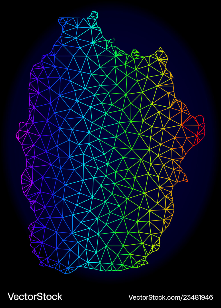 Polygonal network spectrum mesh map Polygonal network spectrum mesh map vector image