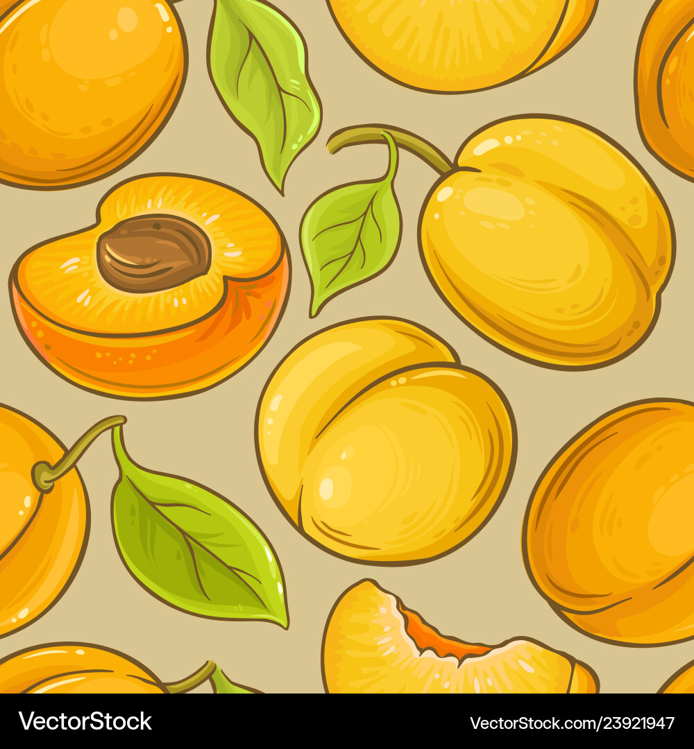 Apricot fruit pattern on color background Apricot fruit pattern on color background vector image
