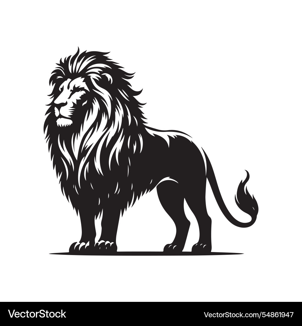Design elements Vector Image