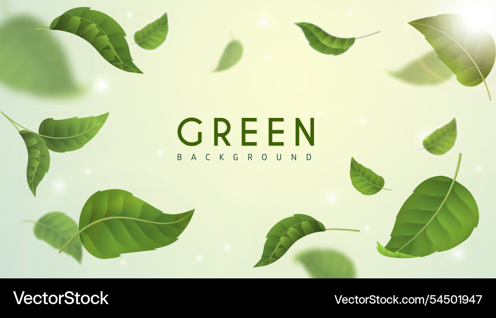 Green leaves background herbal tea crop natural Green leaves background herbal tea crop natural Vector Image