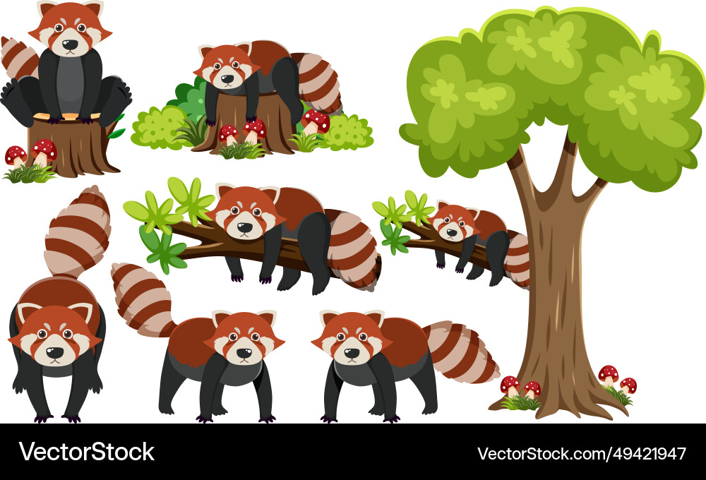 Red panda on branch with tree elements vector image