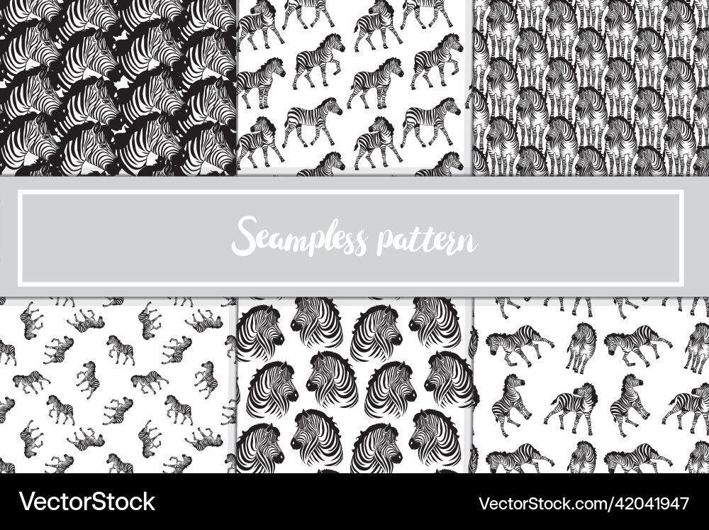 Set of zebra background pattern seamless Set of zebra background pattern seamless vector image