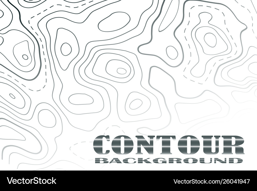 Topographic map contour background line Topographic map contour background line vector image