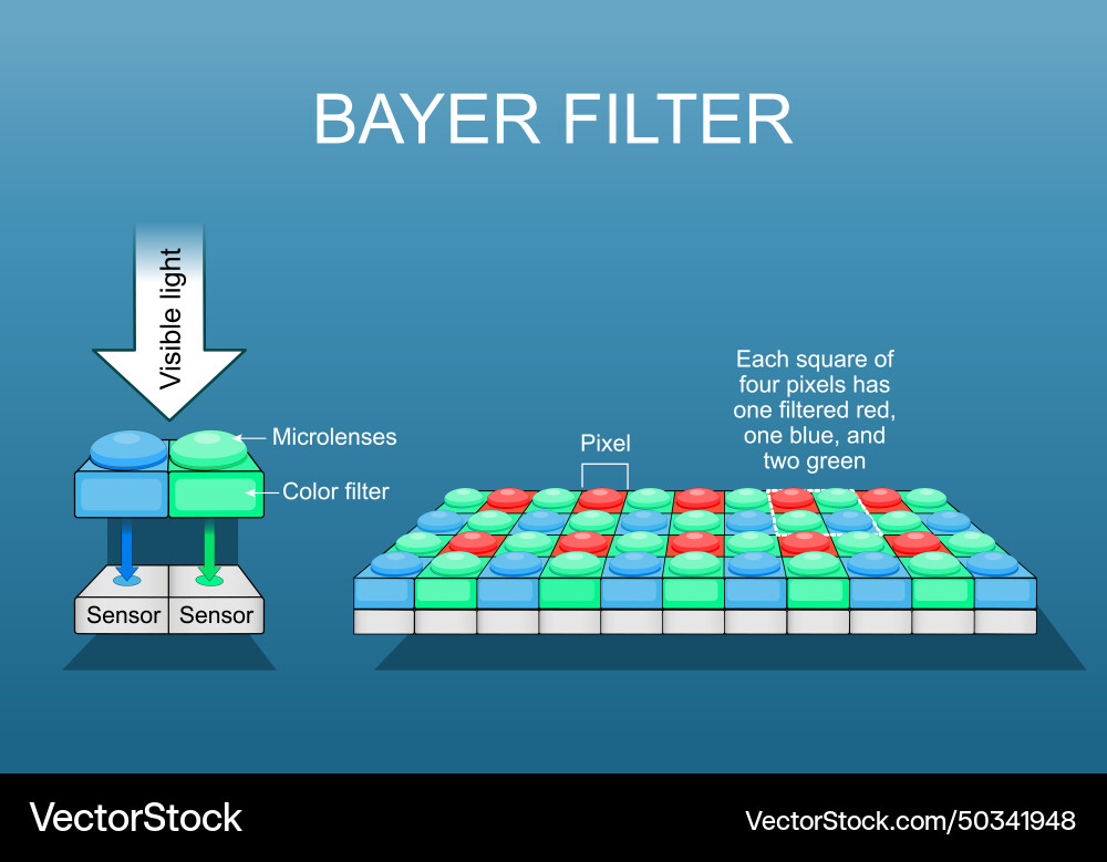 Bayer filter close-up of digital image sensor Vector Image