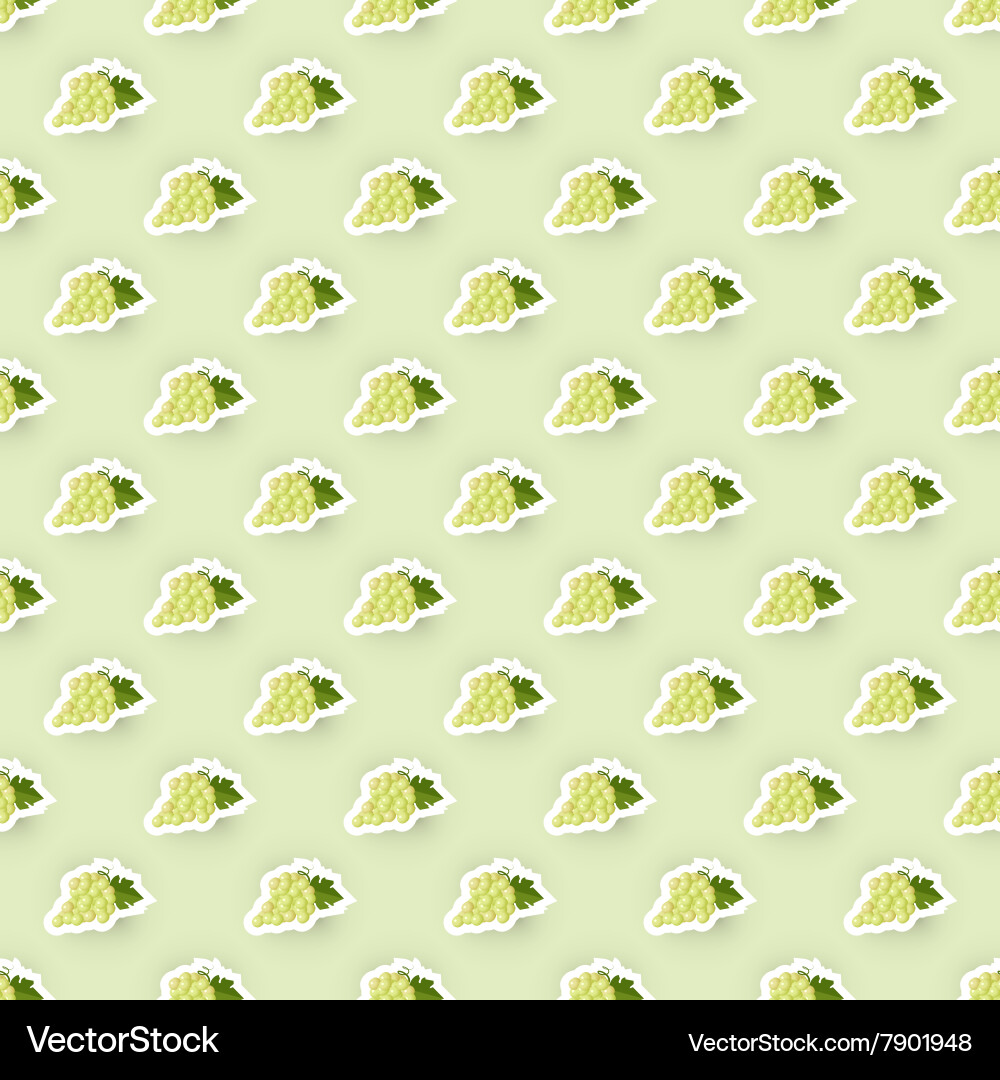 Pattern background with grape vector image