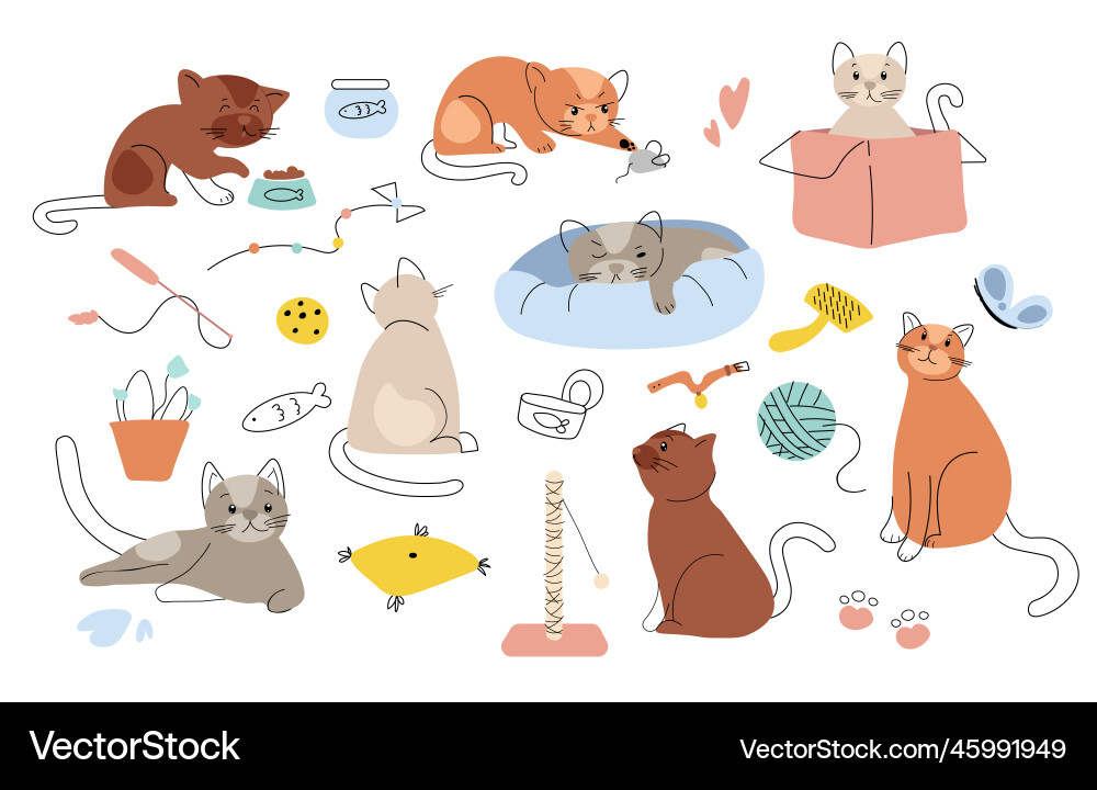 Cat growth doodle set Cat growth doodle set Vector Image