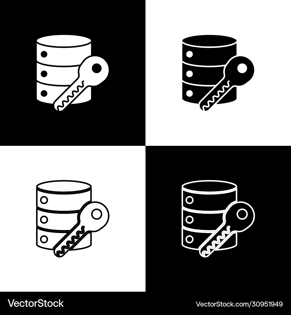 Set server security with key icon isolated Set server security with key icon isolated vector image