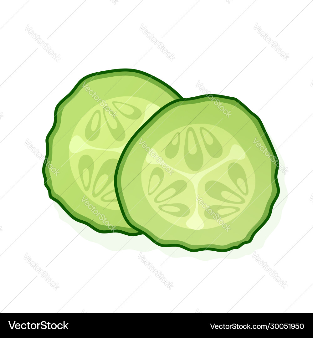 Cucumber slice isolated on white background two Cucumber slice isolated on white background two vector image