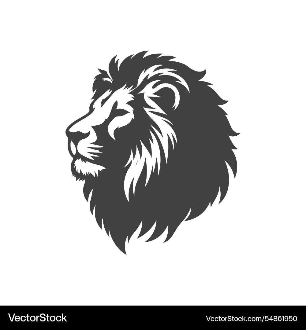 Design elements vector image
