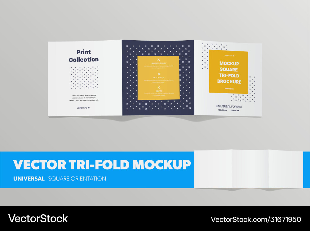 Mockup open square tri-fold with presentation Mockup open square tri-fold with presentation vector image