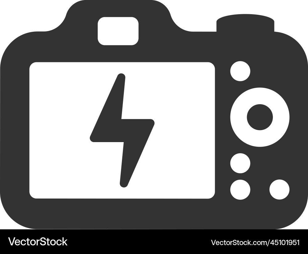 Camera setting mode icon Vector Image