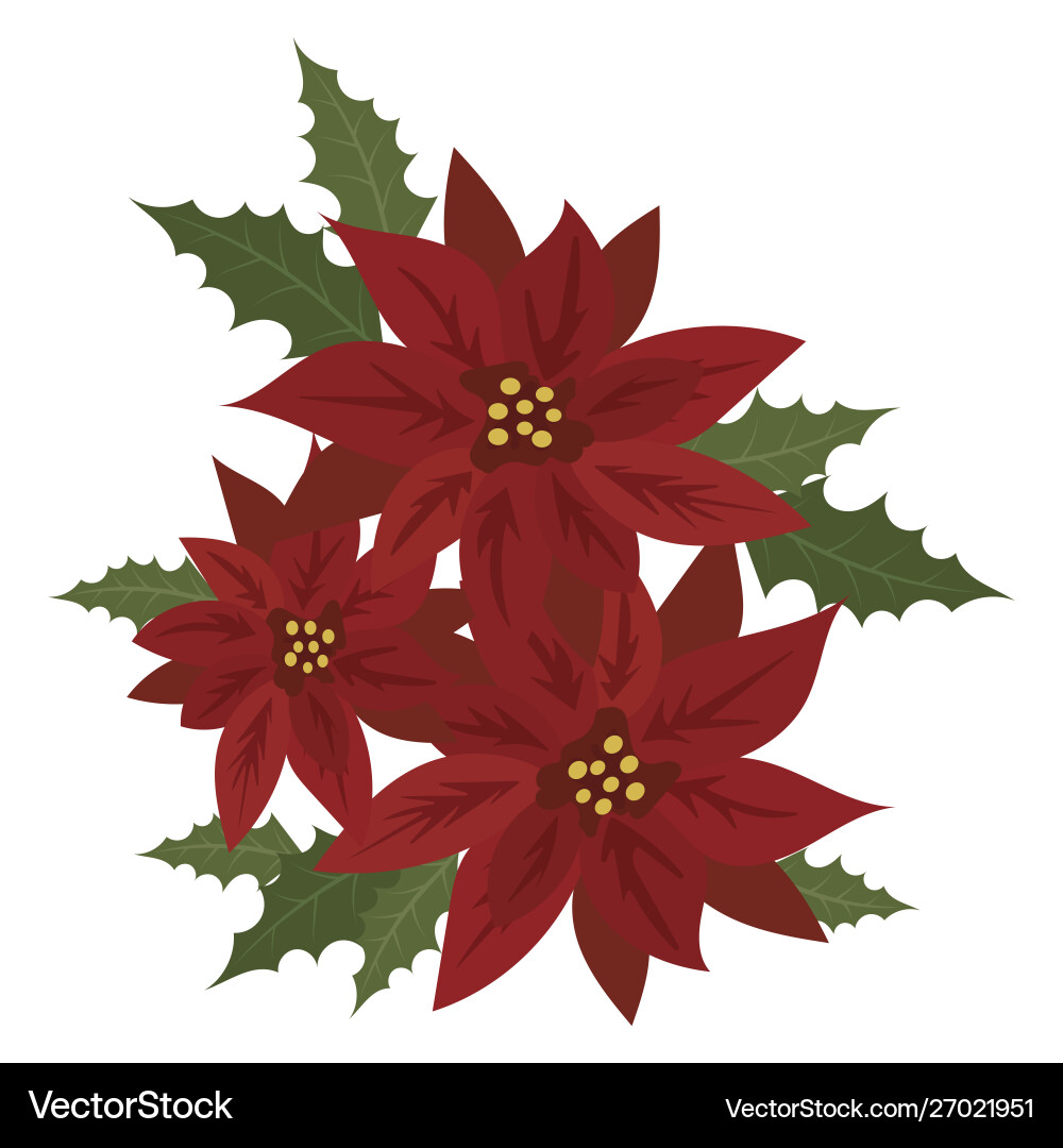 Flower poinsettia cartoon christmas Flower poinsettia cartoon christmas vector image