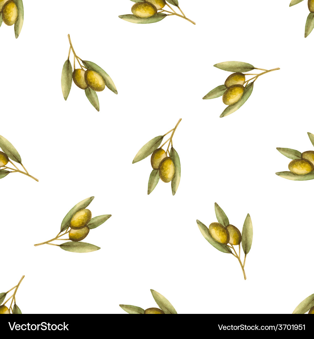 Olive Branch Watercolor Pattern Royalty Free Vector Image