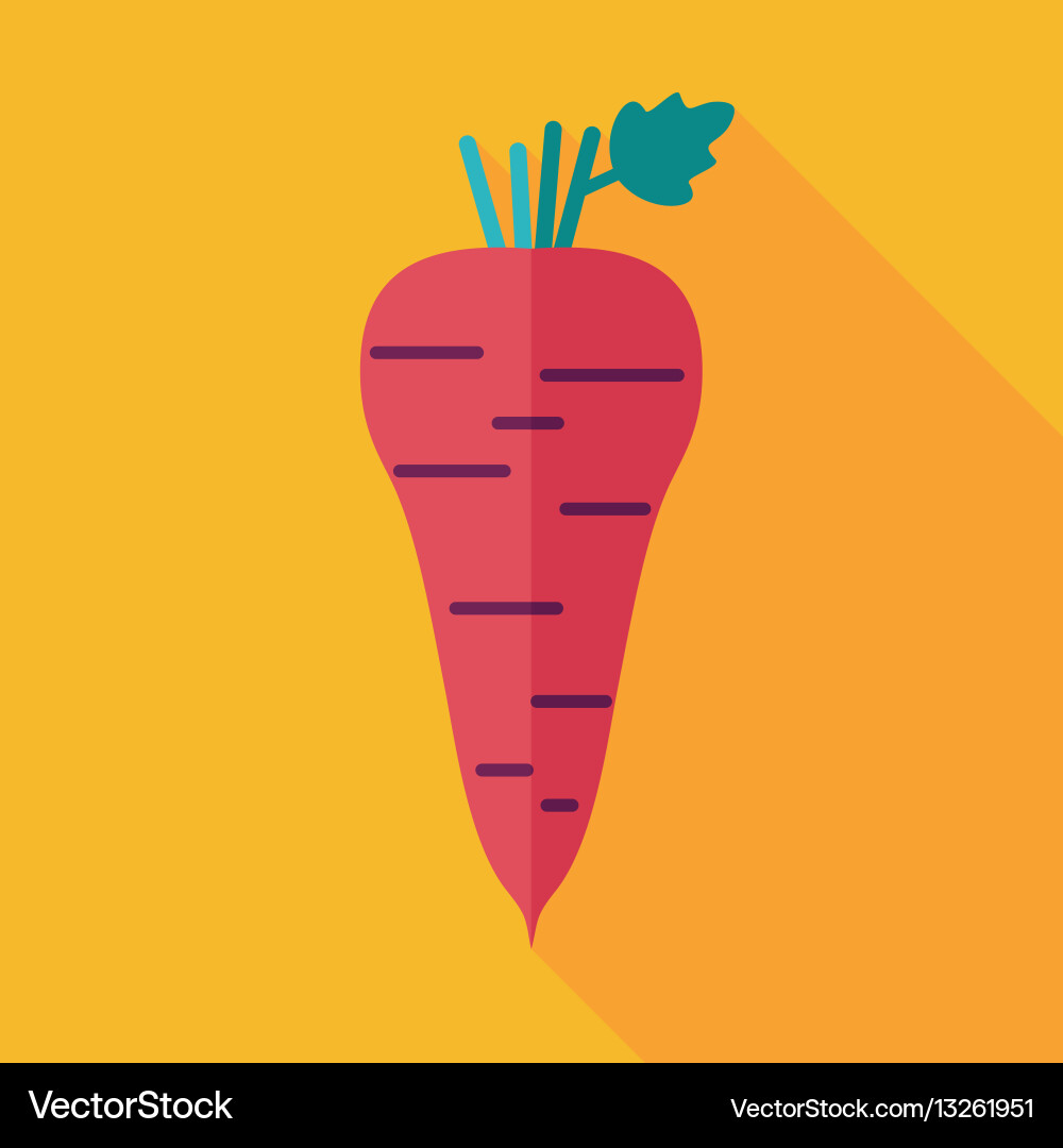 Parsnip root flat icon vegetable vector image