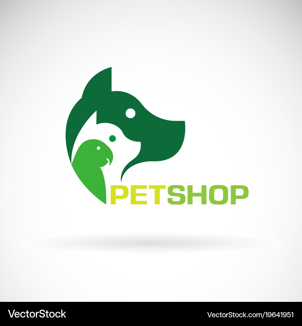 Pet Animals - Dog, Cat, Parrot vector image