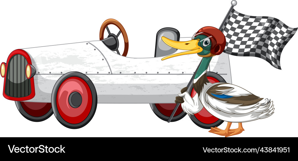 Soapbox derby race with duck Vector Image