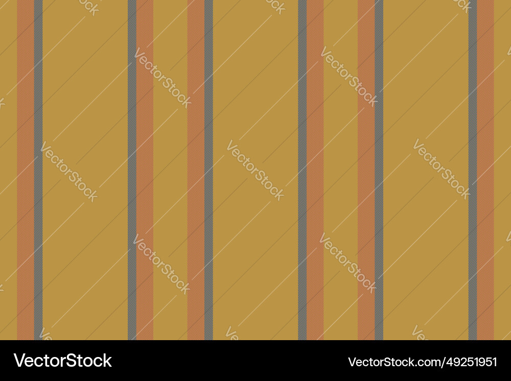 Vertical lines stripe background stripes pattern Vector Image