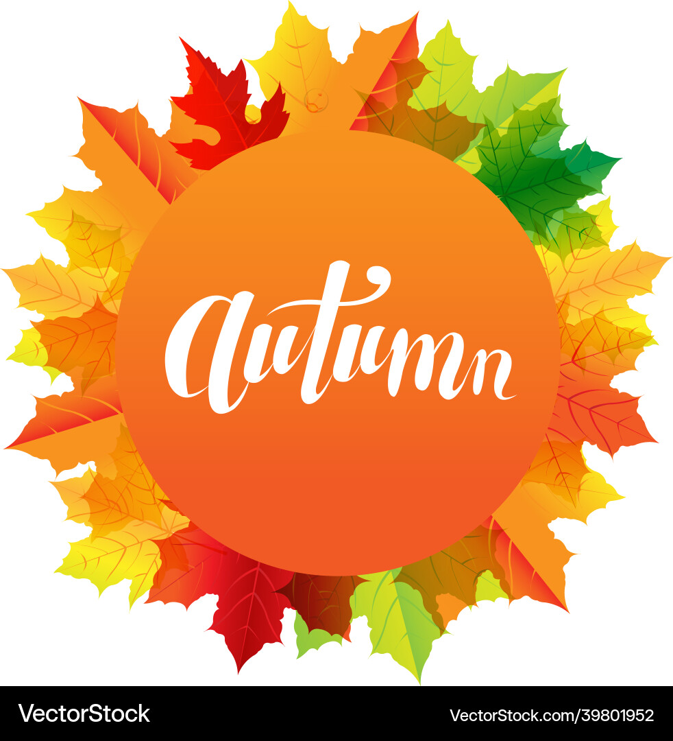 Autumn composition with speech bubble and text Autumn composition with speech bubble and text Vector Image