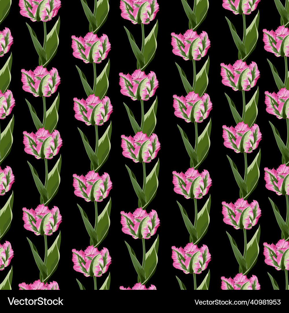 Beautiful botanical pattern with tulip flowers vector image