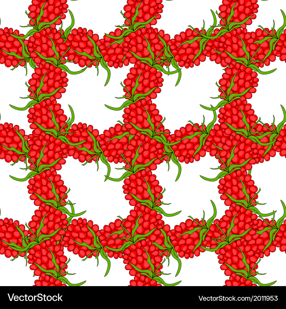 Raspberry Seamless Pattern Vector Image