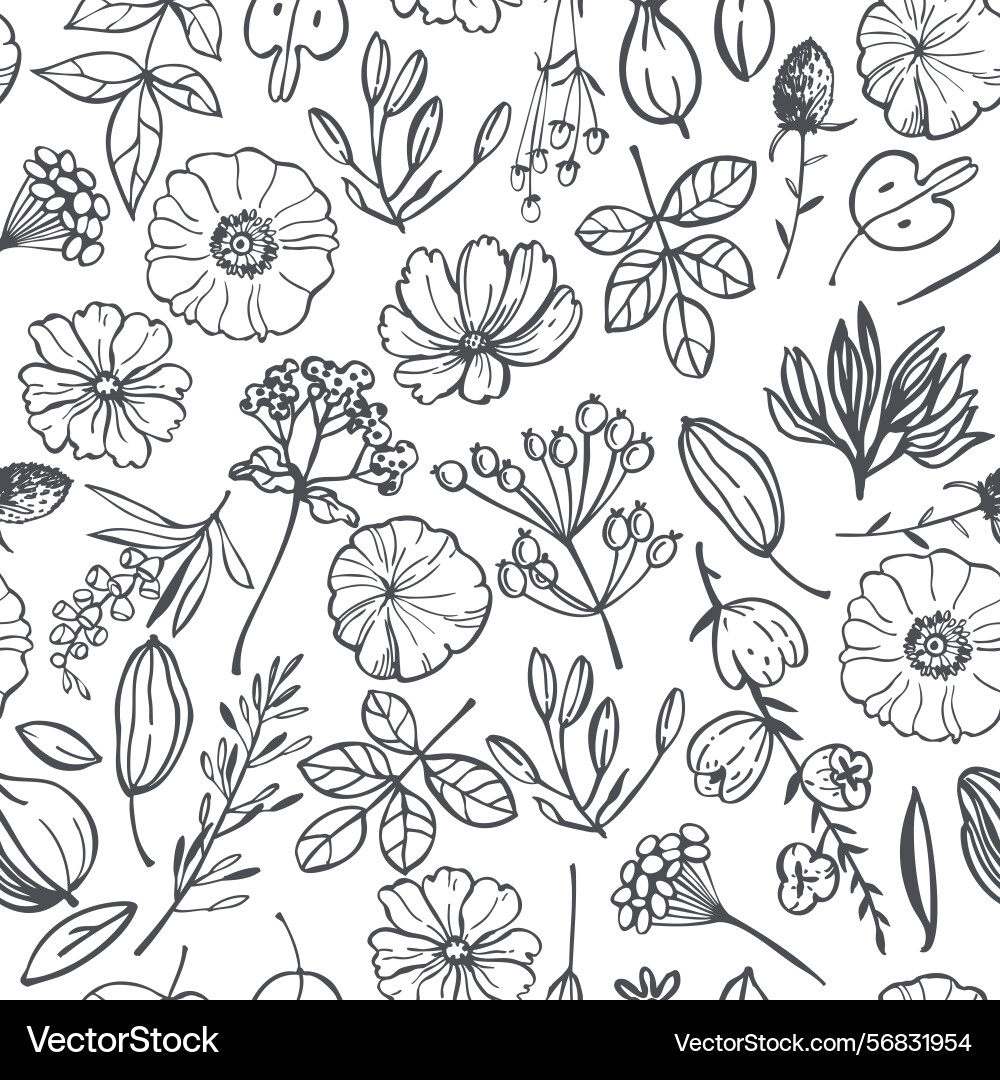 Floral pattern on white background Vector Image