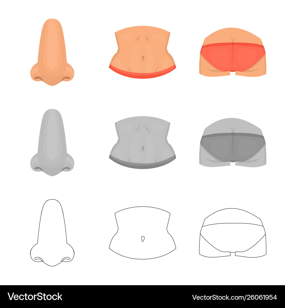 Isolated object body and part sign set vector image