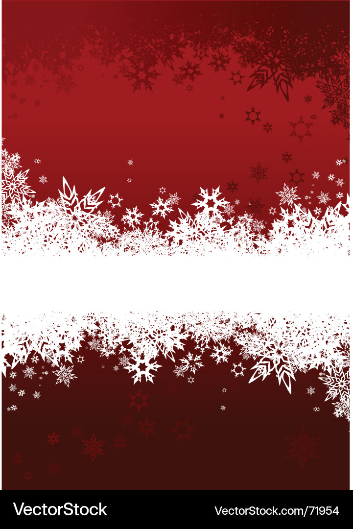 Winter Snowflake Banner Vector Image