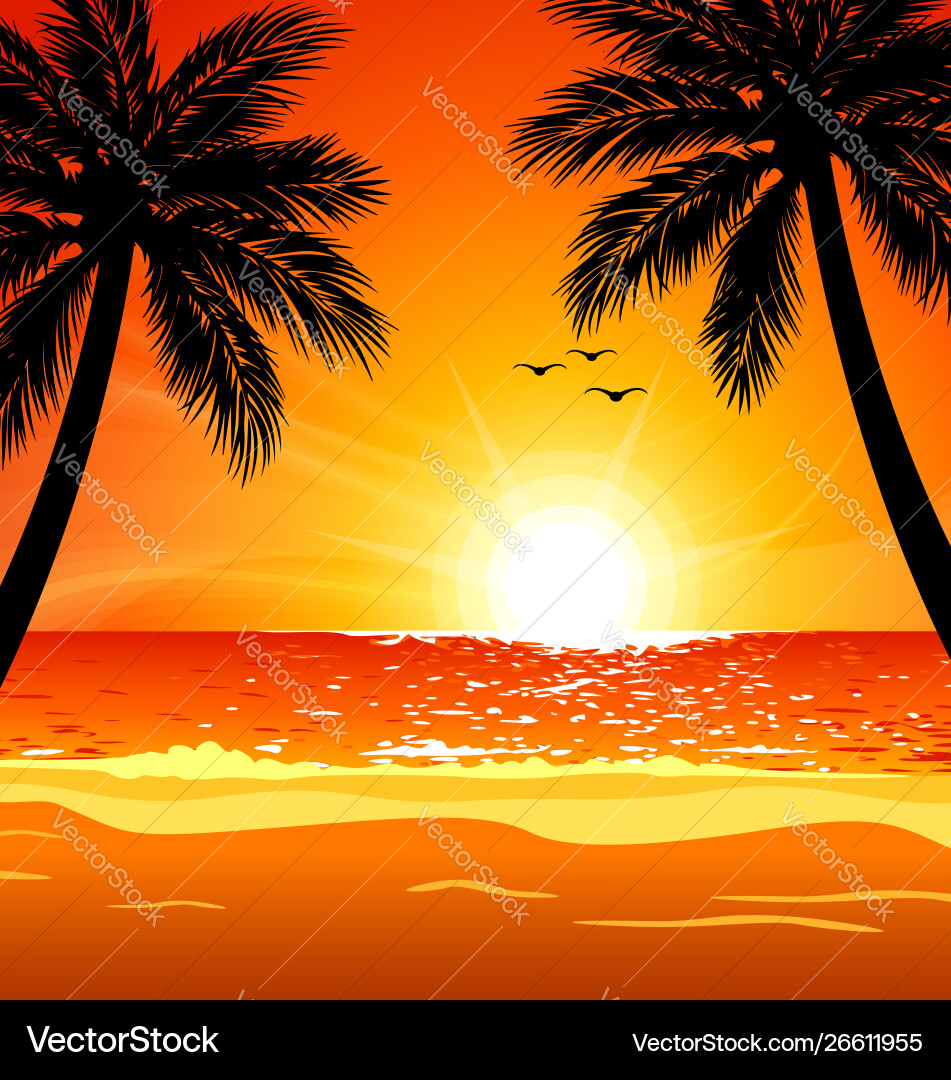 Warm tropical beach sunset with palm trees Warm tropical beach sunset with palm trees vector image