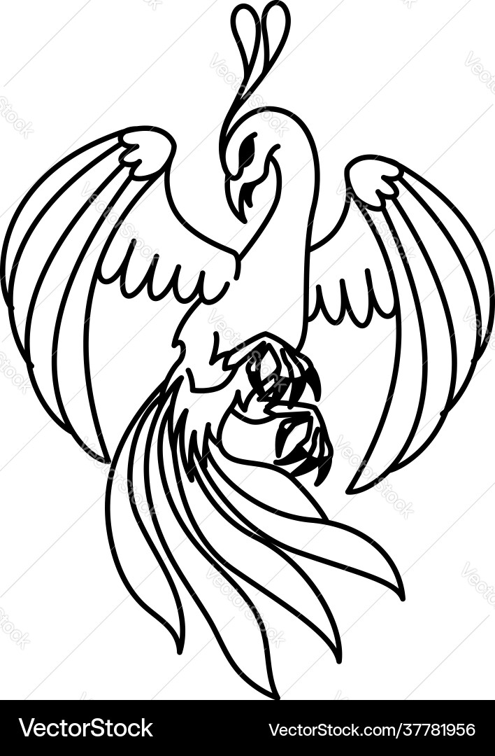Flat linear phoenix Flat linear phoenix vector image