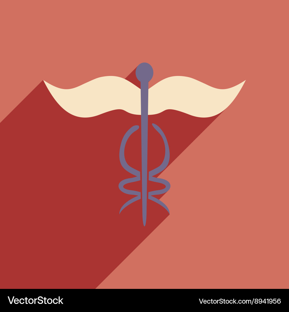 Flat with shadow icon and mobile application Vector Image