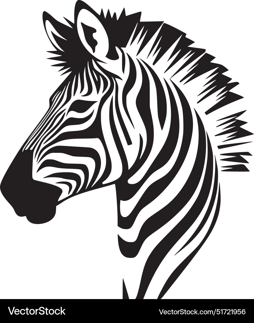 Zebra Sonnenblende Damen Herren - Sportmütze Mit Schweißband Verstellbar