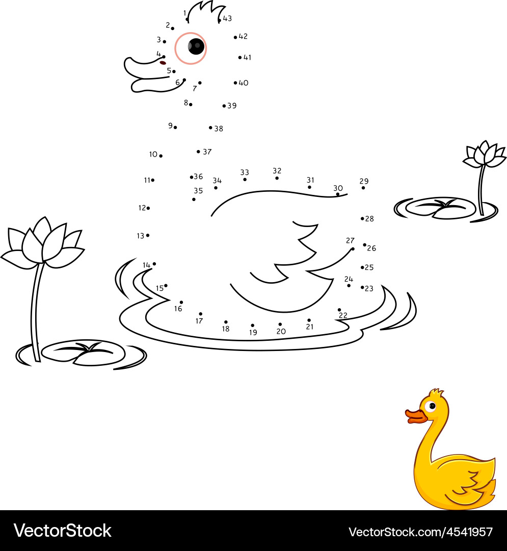 Duck Connect the Dots & Coloring Page vector image