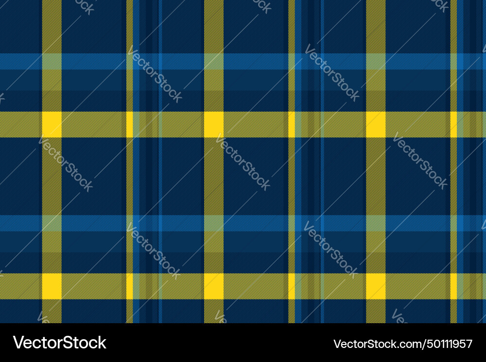Fabric tartan pattern of textile check texture Vector Image
